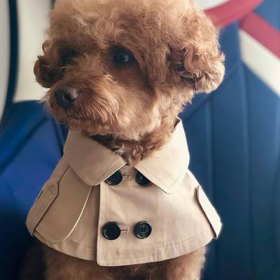 Giyim ve ayakkabı – Köpek Yağmurlukları