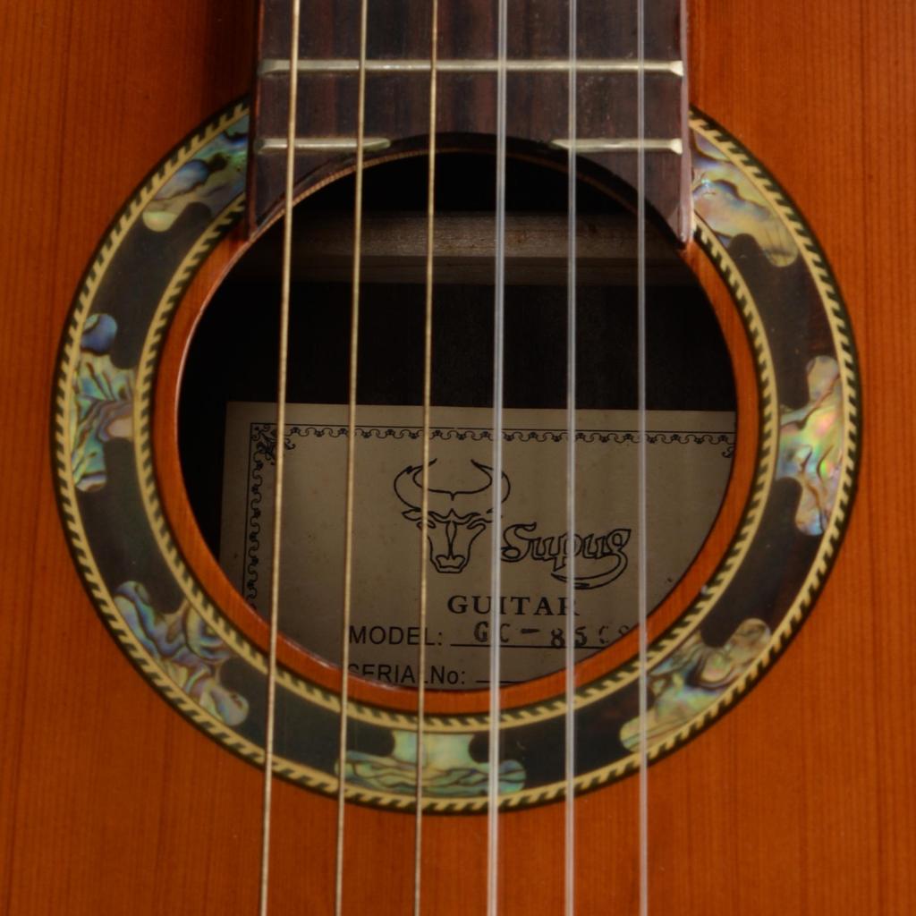 Pevná vrchní deska, Akusticko-elektrická klasická kytara, Výřez (Cutaway), Červený smrk, Nylonové struny, Pokročilá hra, Unisex