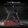 Griet XT200 Professional Electric Treadmill CN plug (adapter included)