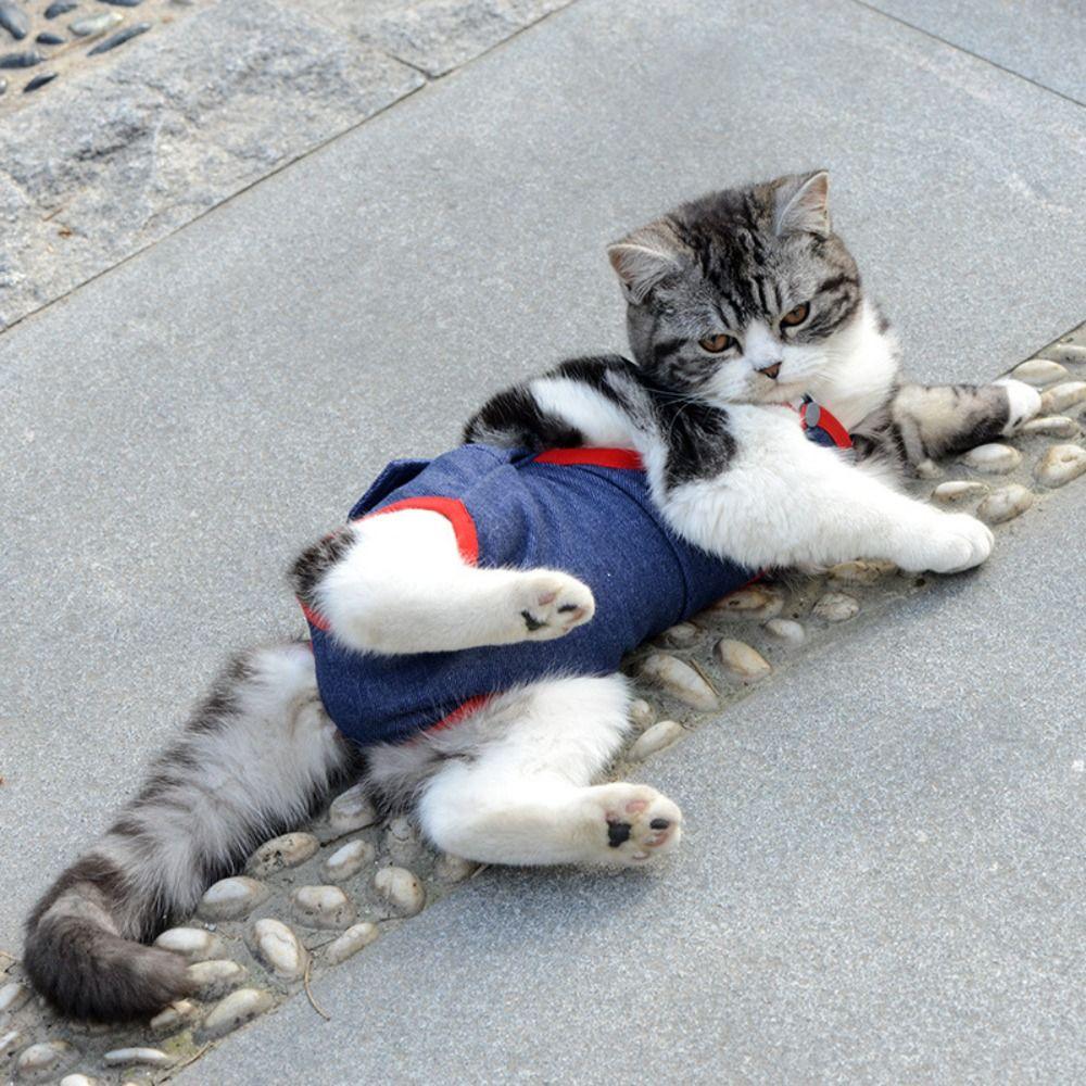 

Washable Pet Physiological Pants Diaper Cat Shorts Puppy Supplies Dog Denim Overall Spring XS синій