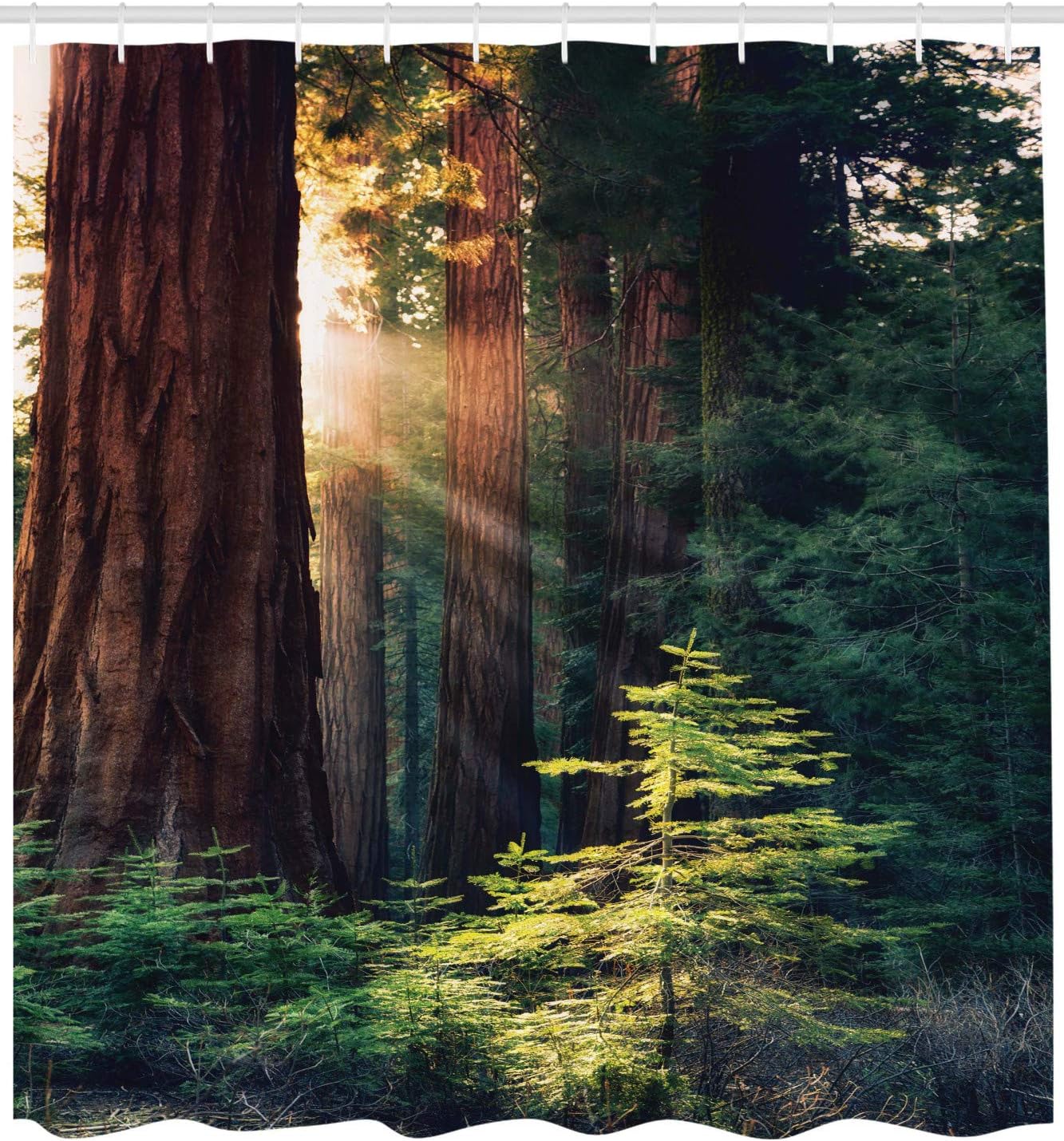 

National Parks Shower Curtain, Morning Sunlight In Wilderness Yosemite Sierra Nevada United States Nature, Cloth Fabri W60H190(CM)-1 Pcs