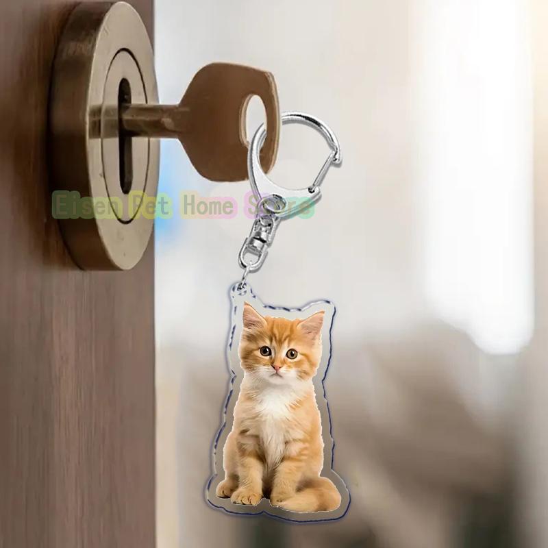 Funny Cat Key Chain Keychains Ring for Accessories Bag Pendant Keyring Jewelry Cute Animal Pet Llaveros Friends Gifts Cool Cats