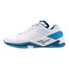 Sports Shoes Mizuno white / silver / sailor blue Wave Stealth Neo
