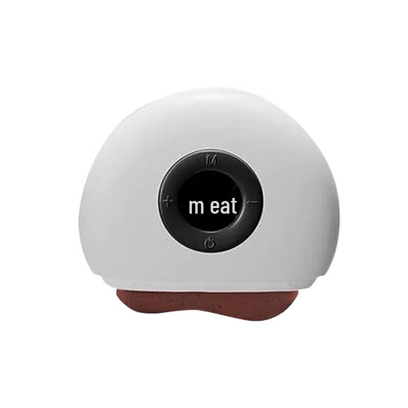 Zuodian Smart Red Bianstone Electric Gua Sha Massager