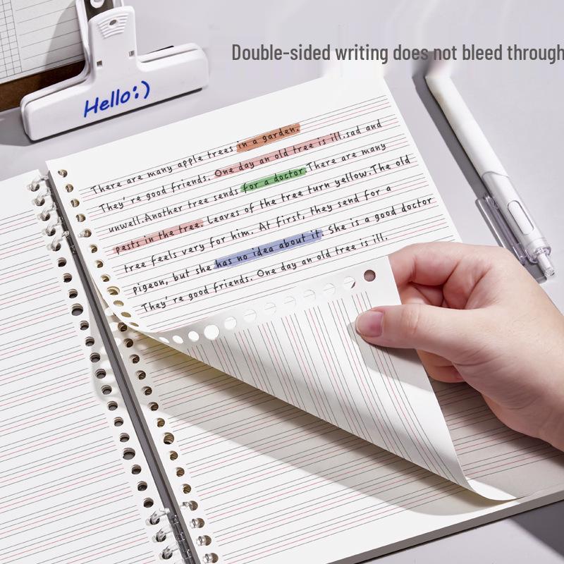 B5 Ring Binder English Notebook: High-Value Sub-Notebook for Elementary School, Thickened for English Knowledge Points and Handwritten Exercises.