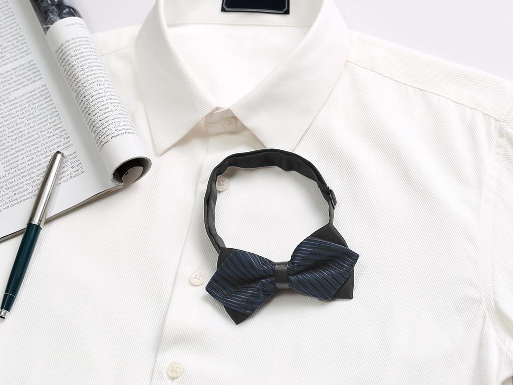[Allegra K] Bow Tie, Striped, Pointed, Adult, Wedding, Party, Men's, Blue, Free Size