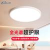 Sitanku Full Spectrum Eye Protection Ceiling Light