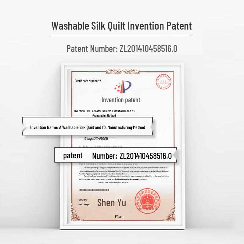 Ciyun Washable 100% Mulberry Silk Summer Cool Quilt