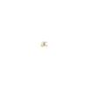 Calendar 2026 Buncho (monthly Calendar/wall Hanging/bird Sparrow) (Yamakei Calendar 2026)