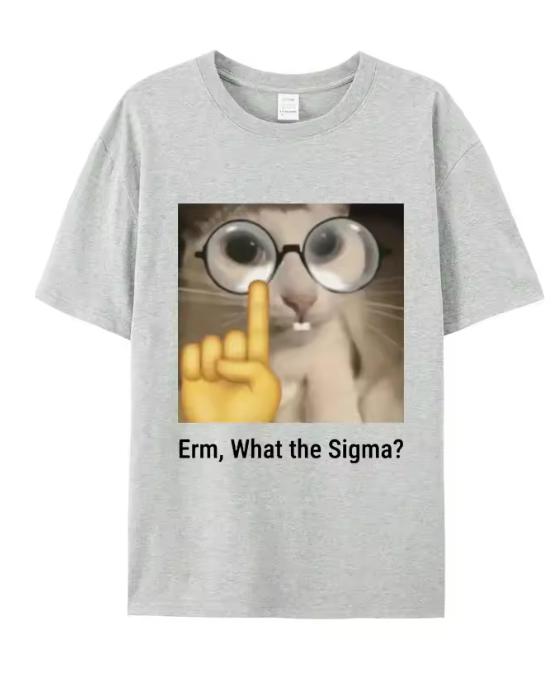 Erm What Sigma Funny Meme TShirt For Unisex Unisex Silly Cat Humor Printed Fashion Tops ONeck