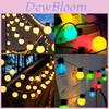 Iluminare – Ghirlande și lumini decorative