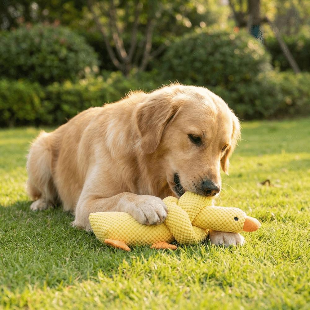 Bite-Resistant Long Necked Duck Voice Dog Toy Animal Shaped Dog Chew Toy Teeth Cleaning