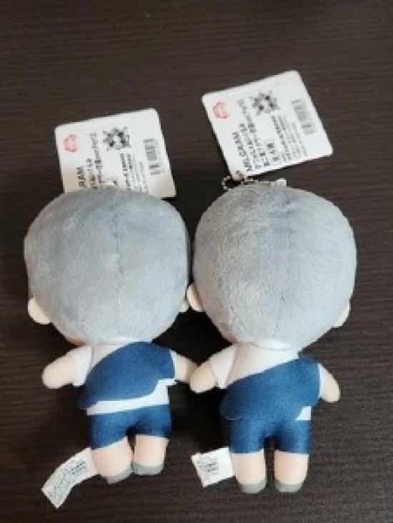MILGRAM Deformed Plushie Second Trial Another Costume Ver. Shidou 2 Items