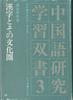 Chinese Characters and Their Cultural Sphere (Chinese Language Research and Study Series)