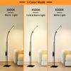 Long Table Lamp Powered by USB 3 Color Modes Available Adjustable Height and Brightness  for Living Room, Bedroom and Study Room
