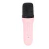 Portable Bluetooth Karaoke Machine Clear Stable Sound Mini Karaoke Machine with Double Microphones