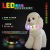 Reflective Dog Leash Set With LED Lighted Collar Harness Two Colors S M L Sizes