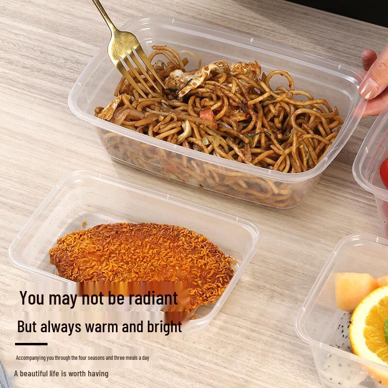 LYVVV Disposable Rectangular Takeout Containers with Lids
