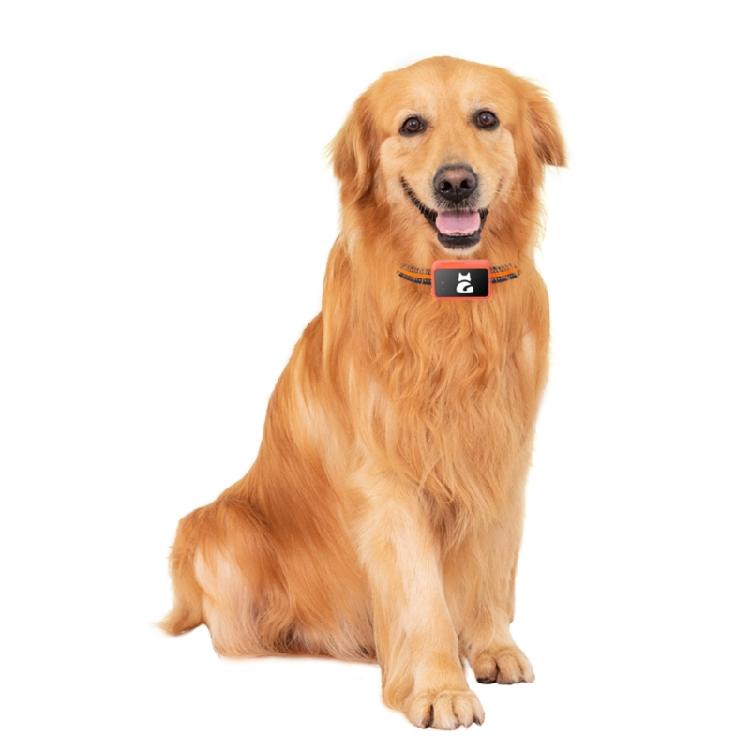 Pet Navigation Tracking Device With Multiple Networking Compatibility And Real Time Location Updates For Active Children