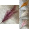 Artificial Feather Phoenix Tail Arrangement For Wedding Photo Props Home Event Decor
