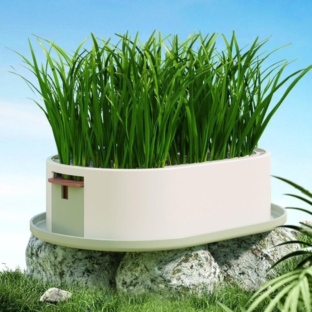 Prevent Overflow Hydroponic Planting Tray Removable Hydroponic Cat Grass Box Cat Snacks