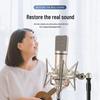 Professional U87 Large Diaphragm Condenser Microphone Set with Sound Card for Live Streaming and Singing