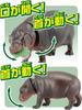 Takara Tomy Pygmy Hippopotamus Parent and Animal Dinosaur Realistic Moving Figure Toy for Ages 3 and Meets Toy Safety ST Mark Certified "ANIA AS-16