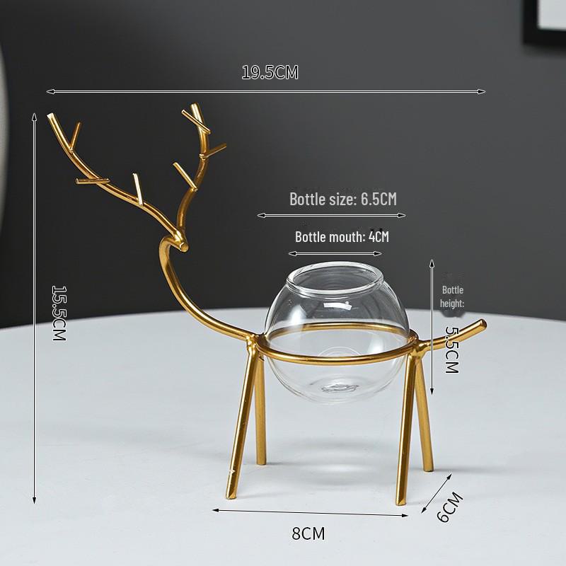 Nordic Hydroponic Flower Pot for Succulents and Water-Grown Plants - Desktop Vase Decoration