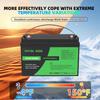 EU USA Stock12V 100AH Lithium Ion Batteries Pack Germany WAREHOUSE 100A BMS Suitable for Camping, RV,home Solar Energy System