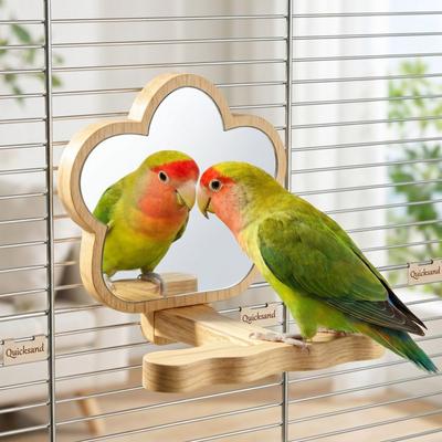Vogels – Speelgoed voor vogels