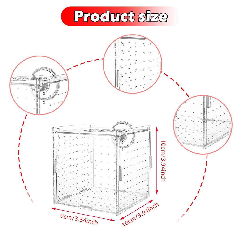Aquarium Breeding Box Separator Clear Acclimation Hatchery Tank Box for Clown Guppy Small es