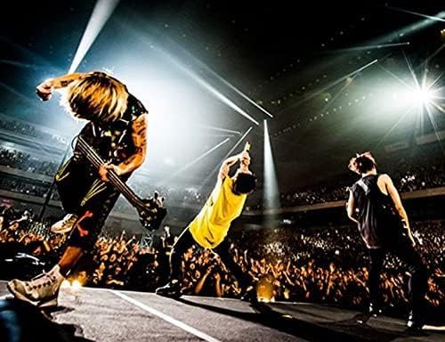 ONE OK ROCK 2017 Ambitions JAPAN TOUR Merchandise Tank Top Yellow M