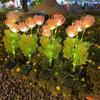 2Pcs Solar Flowers Lights Waterproof Solar Powered LED Glowing Flowers with Glowing Flowers and Stems Outdoor Lawn Decoration