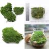Home Party Decoration Artificial Green Grass Moss Plant Ornament Miniature