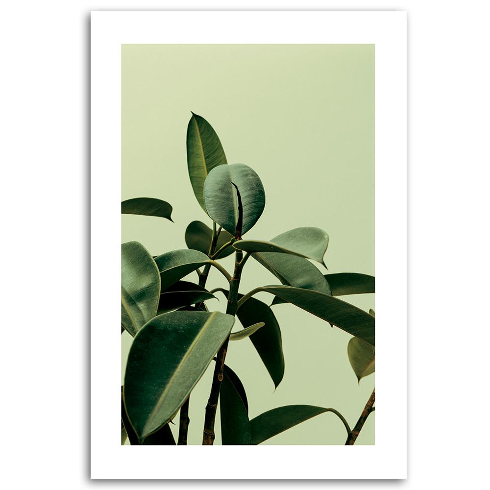 Canvas Print, Green Nature Plant