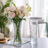 Extra Large Transparent Glass Vase for Hydroponic Bamboo & Fresh Flower Arrangements