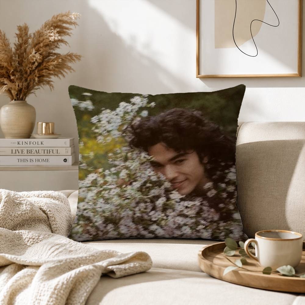 Singer CConan Gray Wishbone Pillow Case for Sofa Living Room Home Office Decor Protective Cover
