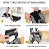 Dog Lifting Harness Support Sling for Injured Disabled Dogs