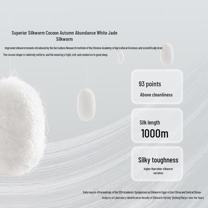 Mercury Home Textiles 100% Mulberry Silk All-Season Duo Quilt