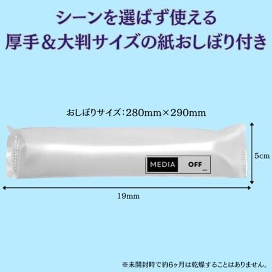 Set Top Nanox Laundry Detergent Spot Cleaner Collar Cuff 250g + Large Capacity Refill 650g 1 each Thick Paper Towels