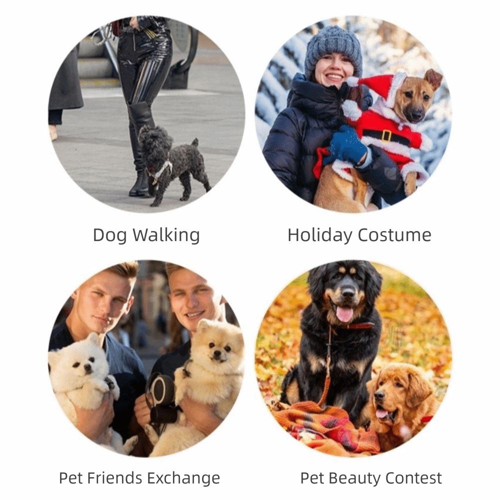 Lightweight Pet Mesh Vest Two-Tone Design Dog T-Shirt Fashion Summer Dog Clothing  Casual Outfit