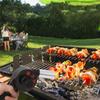 Small Electric BBQ Blower Fan with Variable Speed Controllers Barbecue Cooking Fan Air Blower for Camping