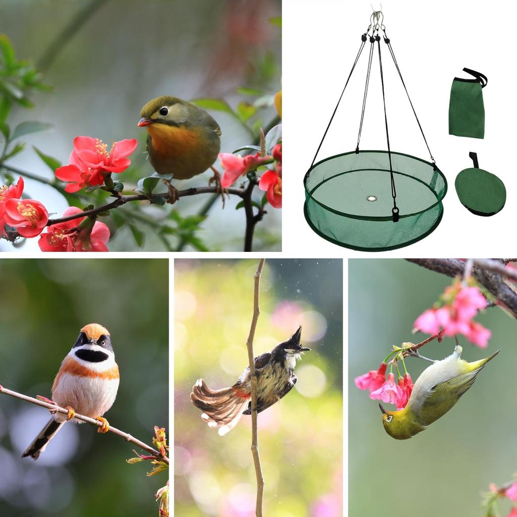 Bird Feeder Tray Attracting Birds Birds Food Catcher Hummingbird Feeder with Hanging Chain for Balcony Backyard Garden Yard