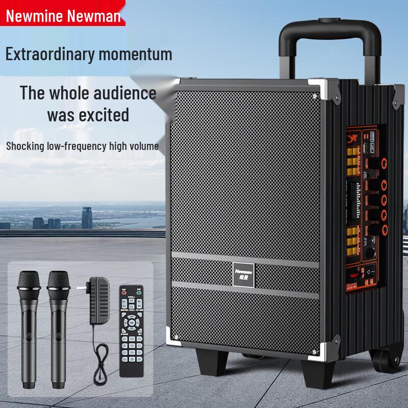 Newmine N518 8-inch Portable Bluetooth Karaoke Trolley Speaker with Dual Mics CN plug (adapter included)