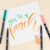 Tombow Graphic Marker Dual Brush Pen ABT 443 Water-Based AB-T443