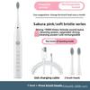 Soft-bristled Toothbrush, Tooth Flusher, Rechargeable, Fully Automatic, Universal Electric Toothbrush for Adults and Children, Ultrasonic.