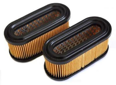 Air Filter Tecumseh Bvl 8R03-51