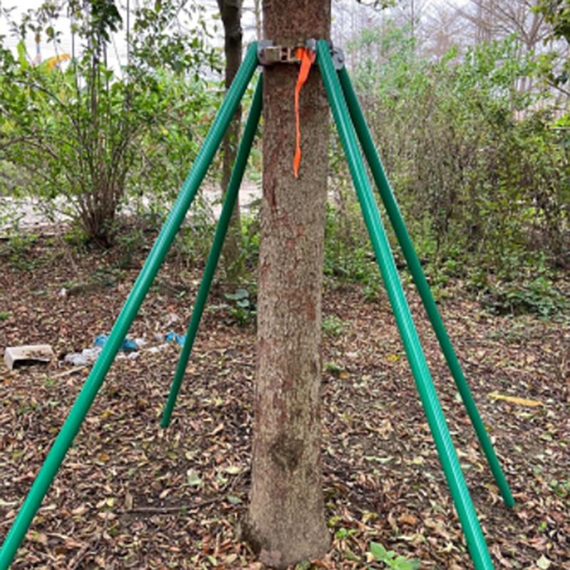 Songge Galvanized Steel Tree Support Kit
