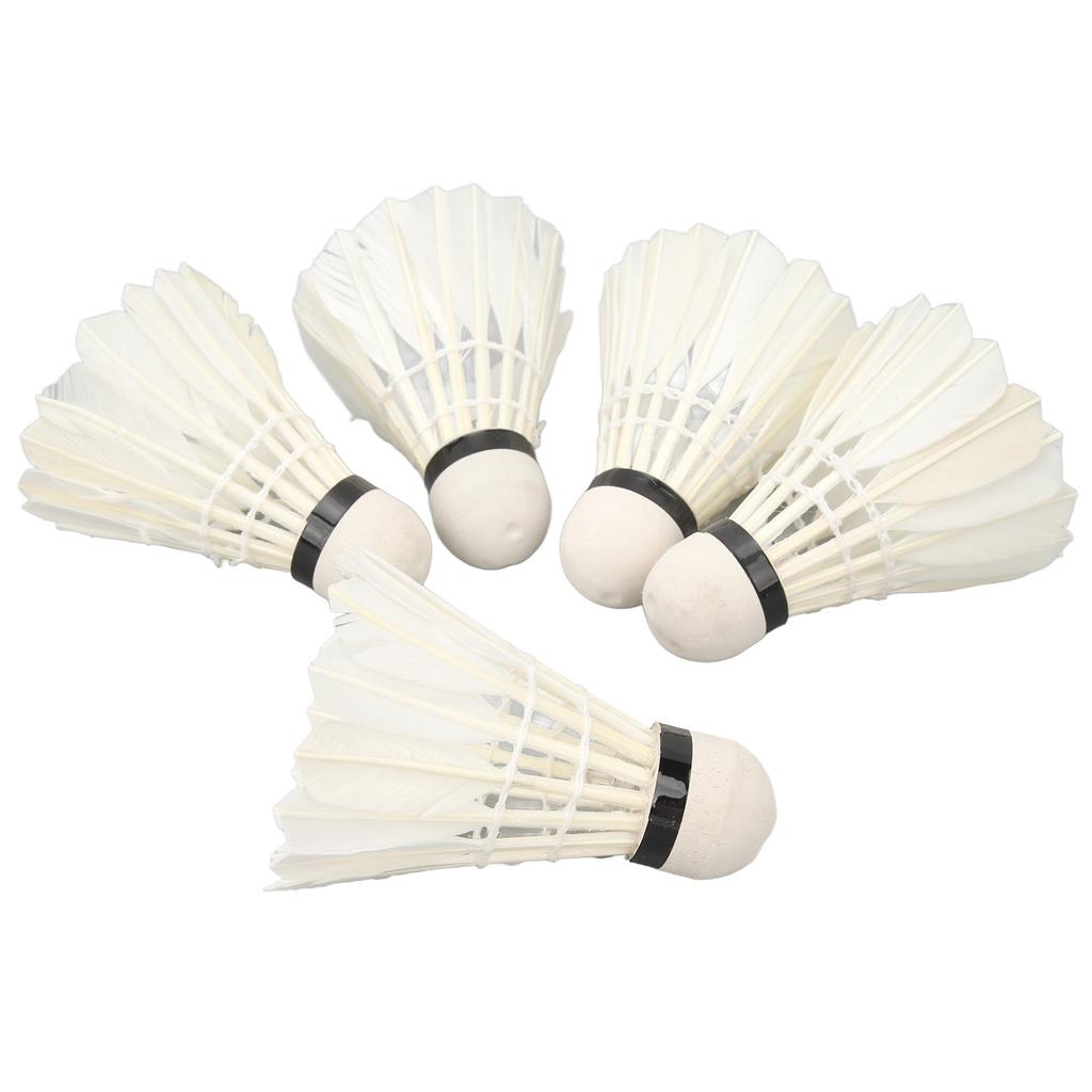 5pcs LED Badminton Shuttlecocks Dark Night Glow Birdies Lighting Switch Control Elastic Goose Feather Lighting Shuttlecocks