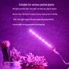 USB LED Plant Grow Light - Indoor Supplemental Light for Flowers, Bonsai, Succulents, 5V Small Table Lamp